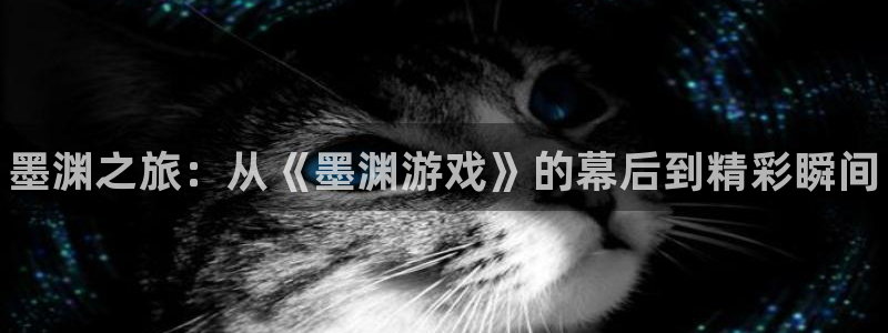 蓝冠娱乐网页登录入口官网：墨渊之旅：从《墨渊游戏》的幕后到精
