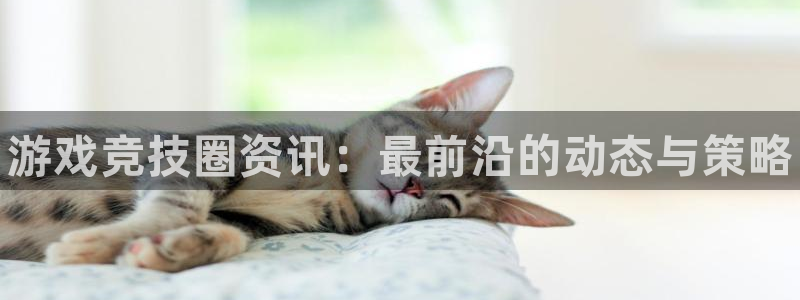 蓝冠娱乐网页登录入口官网：游戏竞技圈资讯：最前沿的动态与策略