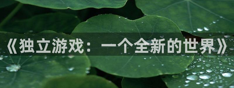 蓝冠娱乐4招商：《独立游戏：一个全新的世界》