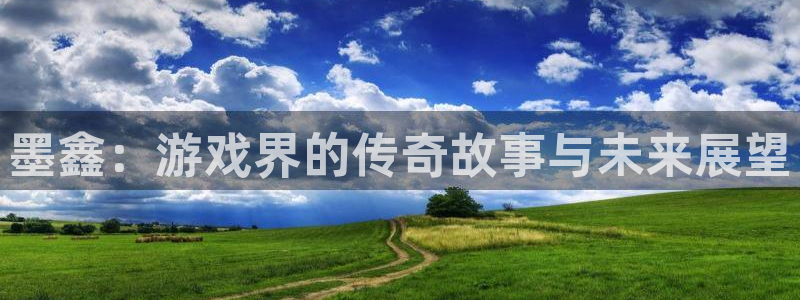 蓝冠娱乐注册登录：墨鑫：游戏界的传奇故事与未来展望