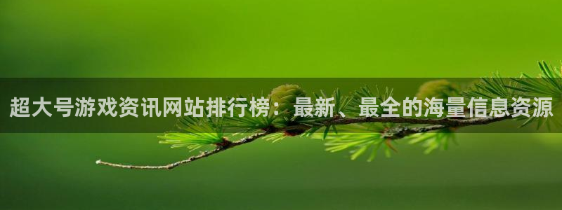 蓝冠娱乐平台注册资金多少：超大号游戏资讯网站排行榜：最新、最