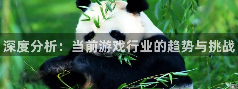 蓝冠娱乐4主管：深度分析：当前游戏行业的趋势与挑战