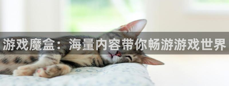 蓝冠娱乐平台注册：游戏魔盒：海量内容带你畅游游戏世界