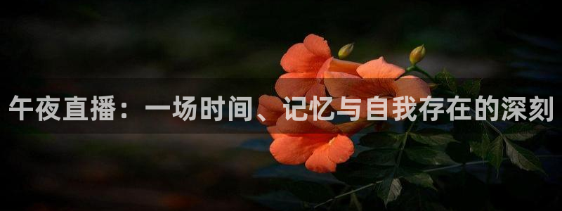 新球体育足球即时比分