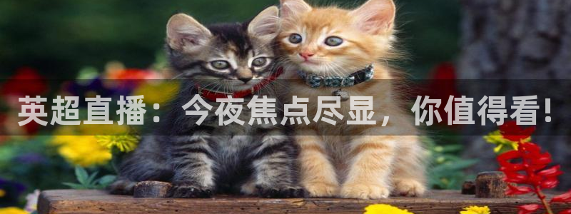新球体育足球比分：英超直播：今夜焦点尽显，你值得看!