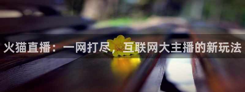 新球体育网球比分：火猫直播：一网打尽，互联网大主播的新玩法