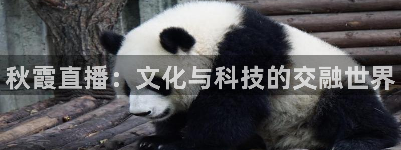新球体育比分网：秋霞直播：文化与科技的交融世界