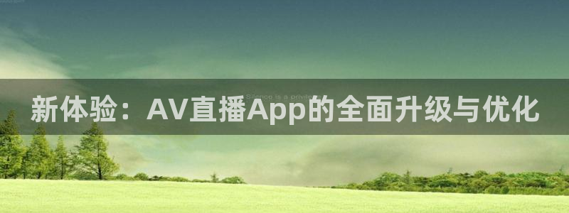 新球体育足球即时比分：新体验：AV直播App的全面升级与优化