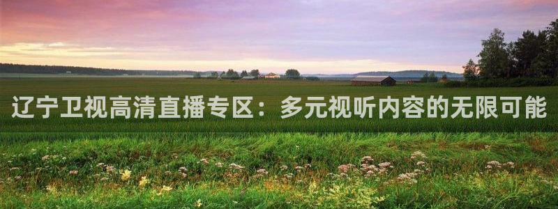 新球体育赛事：辽宁卫视高清直播专区：多元视听内容的无限可能