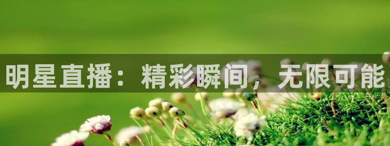 新体球即时比分新球体育：明星直播：精彩瞬间，无限可能