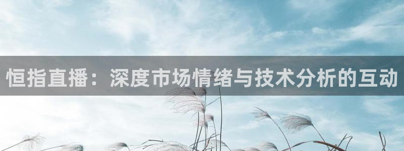 新球直播：恒指直播：深度市场情绪与技术分析的互动