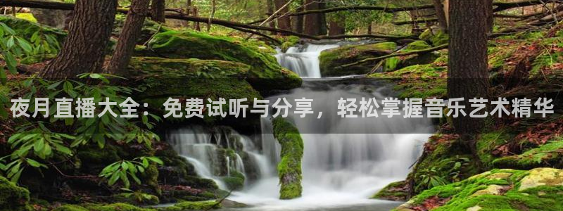 新球体育比分：夜月直播大全：免费试听与分享，轻松掌握音乐艺术精华
