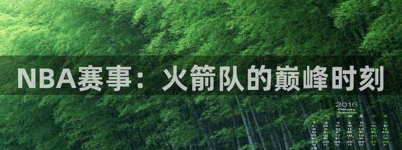新球体育篮球比分：NBA赛事：火箭队的巅峰时刻
