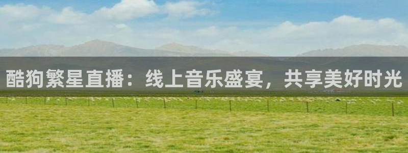 新球体育比分