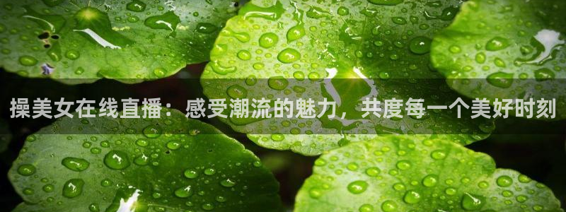 新球足球
