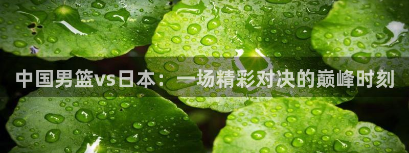 新球体育比分