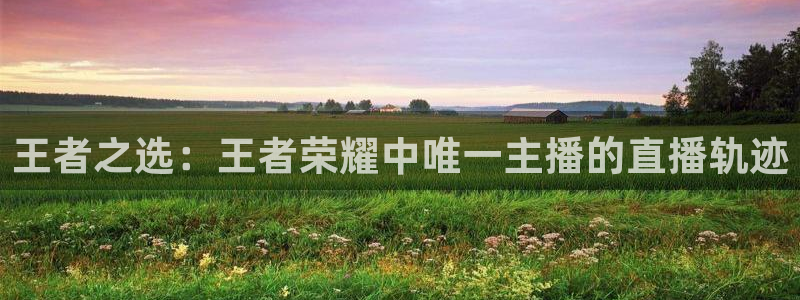 新球直播