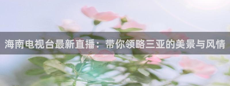 新球体育赛事